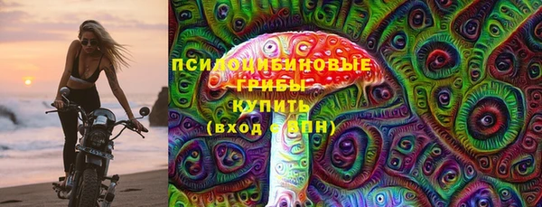 метадон Каменка