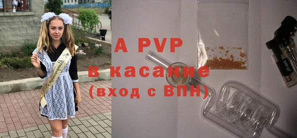 бошки Касимов
